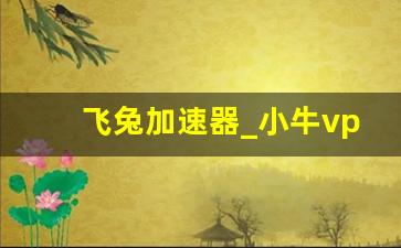 飞兔加速器_小牛vp n下载官网